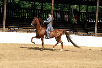 05.  Equitation 17 and Under